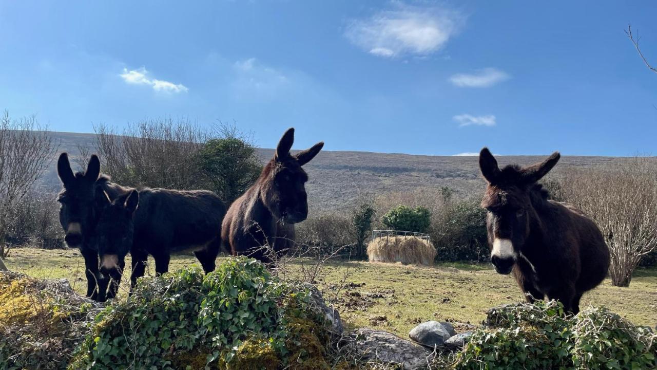 Cappabhaile House Ballyvaughan Bagian luar foto