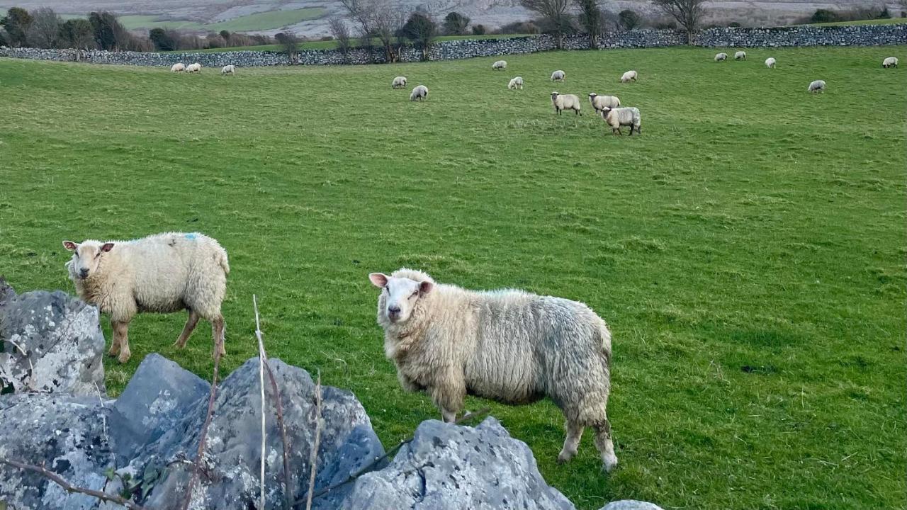 Cappabhaile House Ballyvaughan Bagian luar foto