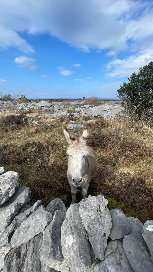 Cappabhaile House Ballyvaughan Bagian luar foto
