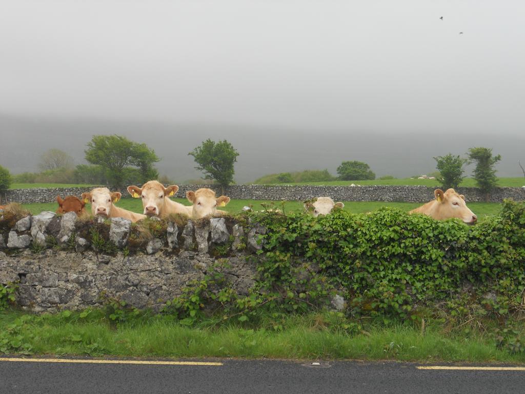Cappabhaile House Ballyvaughan Ruang foto